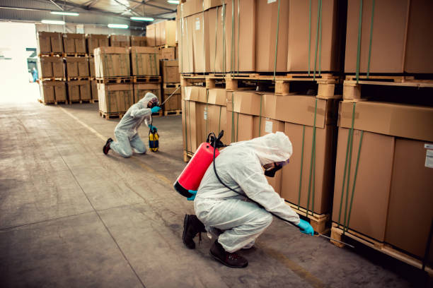 Best Pest Prevention Services  in Vandenberg Village, CA