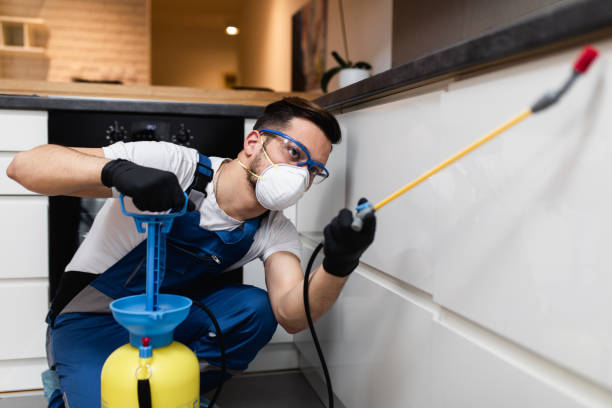 Best Pest Control for Restaurants  in Vandenberg Village, CA