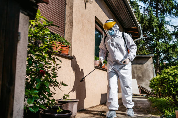 Best Pest Removal Services  in Vandenberg Village, CA