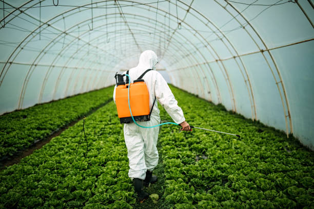Best Emergency Pest Control  in Vandenberg Village, CA