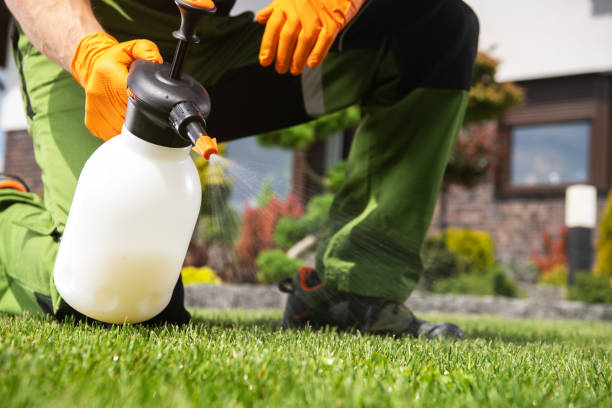 Best Best Pest Control Companies  in Vandenberg Village, CA