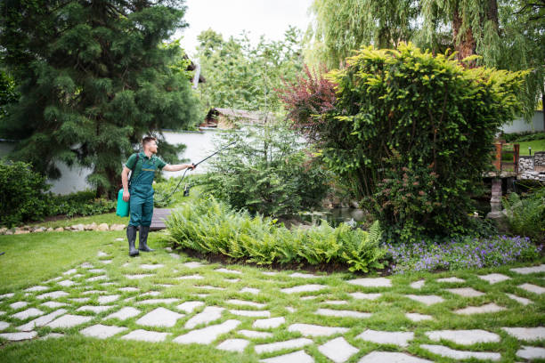 Best Pest Control Near Me  in Vandenberg Village, CA