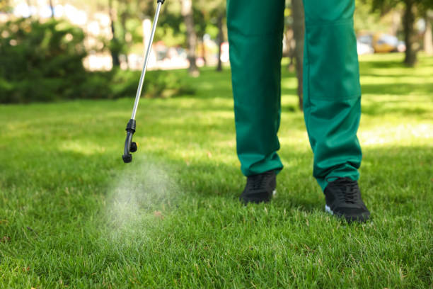 Best Pest Inspection Near Me  in Vandenberg Village, CA