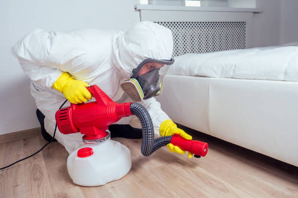 Best Residential Pest Control  in Vandenberg Village, CA