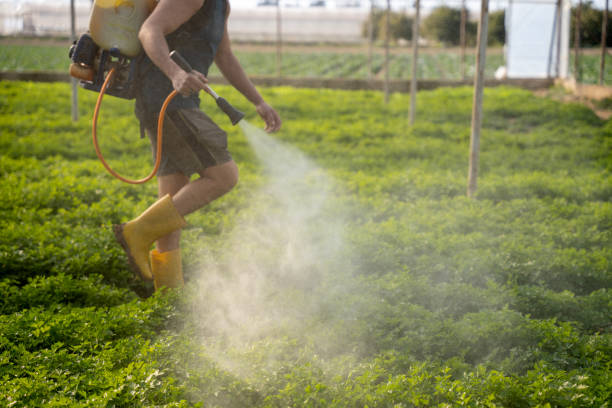 Best Best Pest Control Companies  in Vandenberg Village, CA