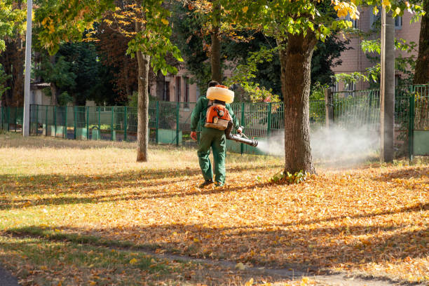 Best Pest Control for Businesses  in Vandenberg Village, CA